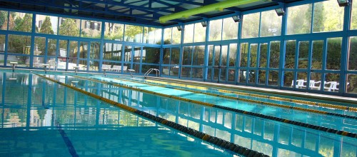 Nuoto Adulti