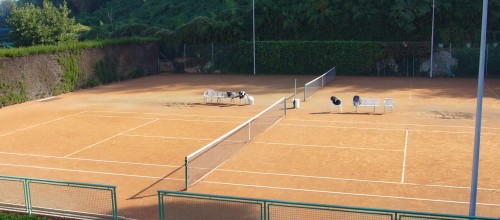 Tennis